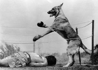 Illustration for article titled Roundup: The Best Manny Pacquiao Photoshop Contest Submissions